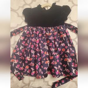 Oscar de la Renta toddler girl dress size 2years velvet